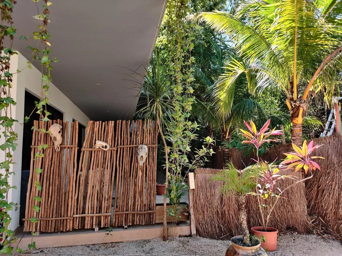 Cocomobay, Apartment Fully Furnished In تولوم